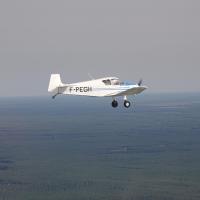 Au dessus de l'immense forêt des landes