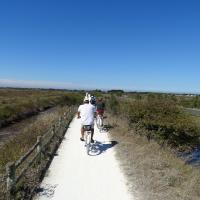Des pistes cyclables à perte de vue