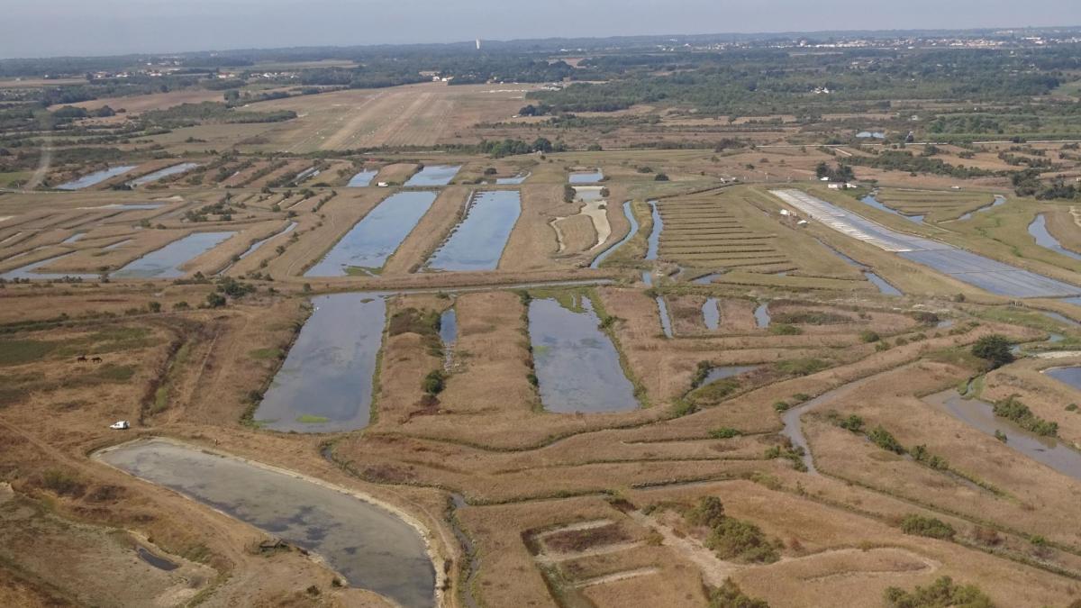 Piste d oleron 1