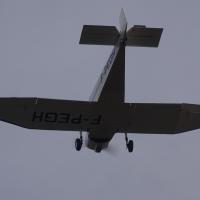 quand il n'y a rien à voir sauf des pins à perte de vue ... on s'amuse un peu !